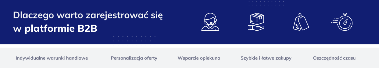 Baner pod sliderem głównym B2C