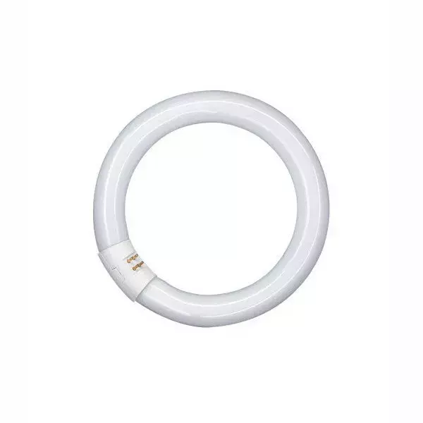 ŚWIETLÓWKA 40W/840C G10q L T9 KOŁOWA 3200LM OSRAM