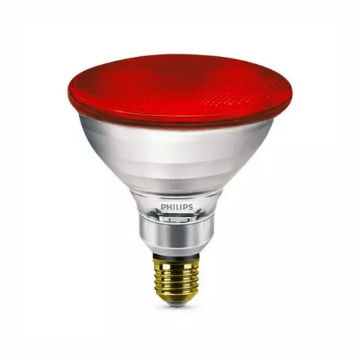 Promiennik podczerwieni 100W E27 230V PAR38 IR czerwony 923801144209 Philips